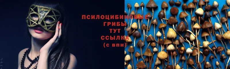 Галлюциногенные грибы Magic Shrooms  купить закладку  Рыльск 